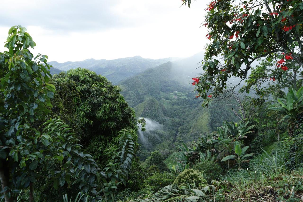Ecohotel Monteverde ลาเบกา ภายนอก รูปภาพ