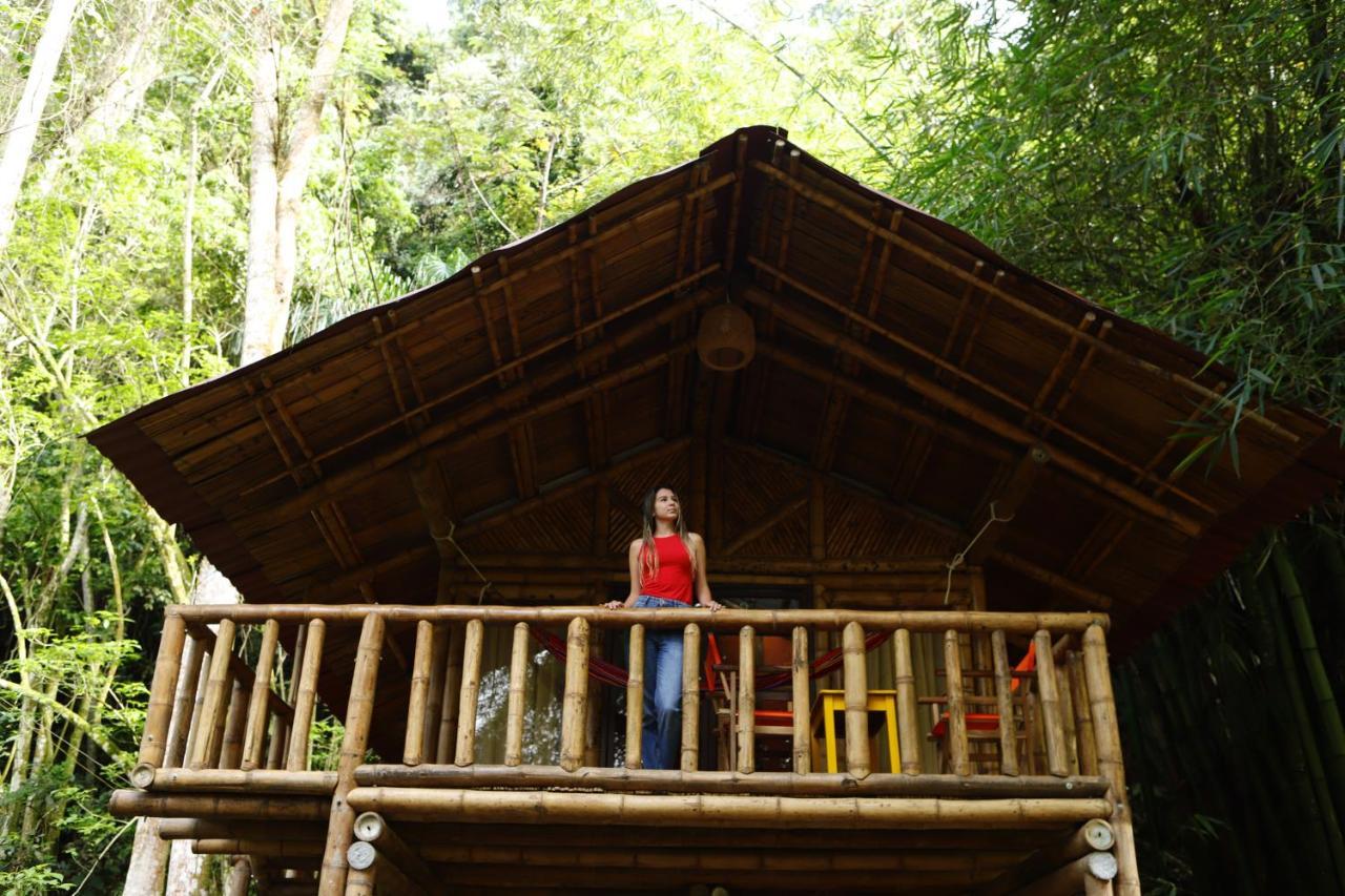 Ecohotel Monteverde ลาเบกา ภายนอก รูปภาพ