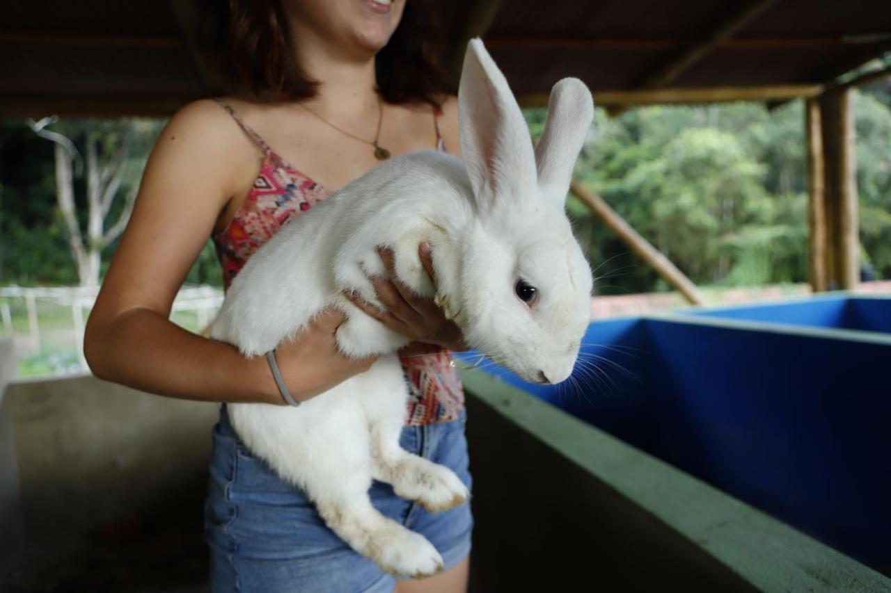 Ecohotel Monteverde ลาเบกา ภายนอก รูปภาพ