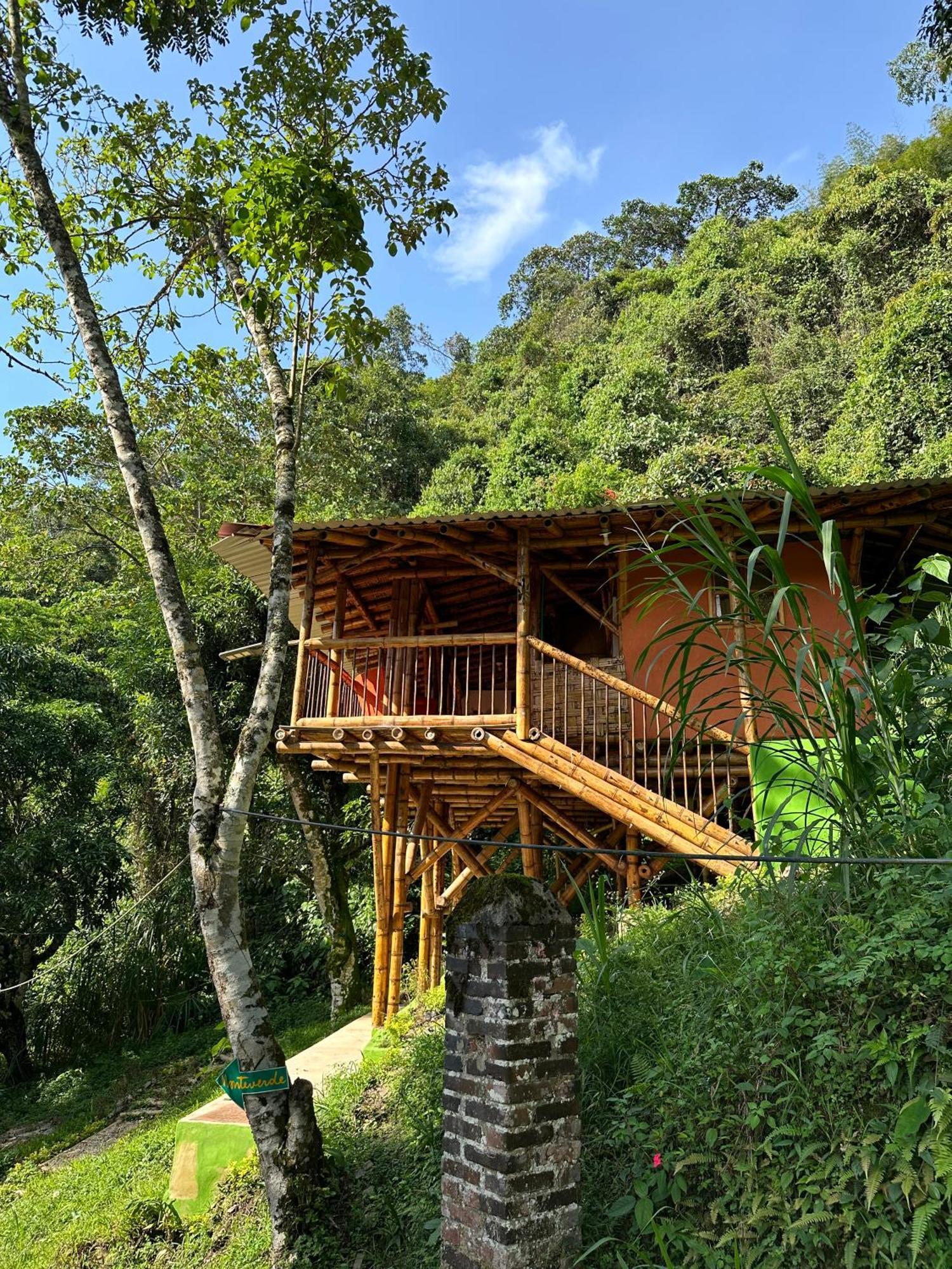 Ecohotel Monteverde ลาเบกา ภายนอก รูปภาพ