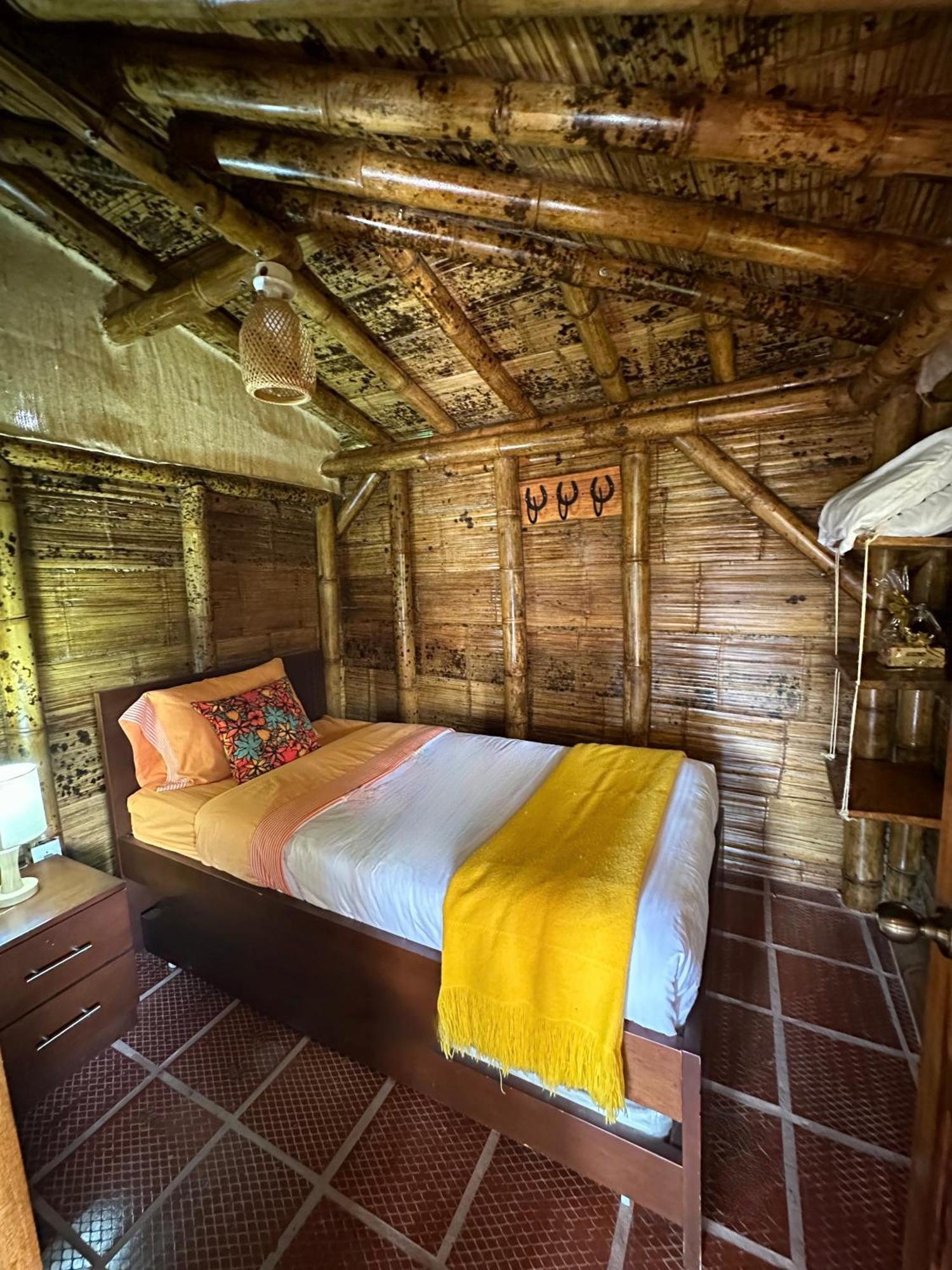Ecohotel Monteverde ลาเบกา ภายนอก รูปภาพ