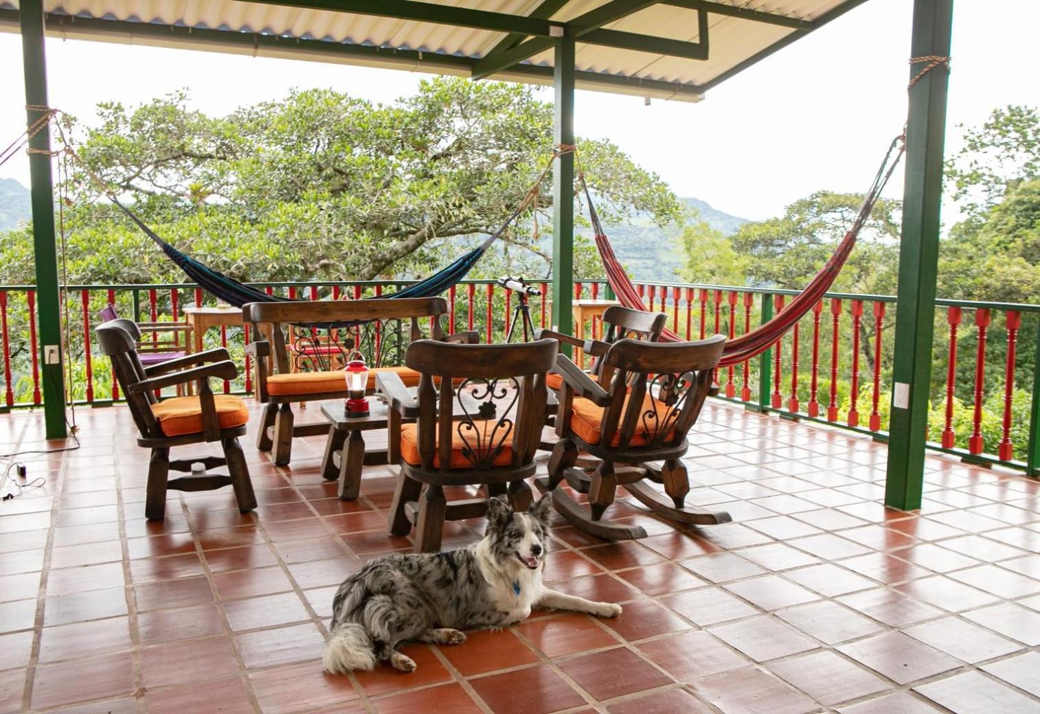 Ecohotel Monteverde ลาเบกา ภายนอก รูปภาพ