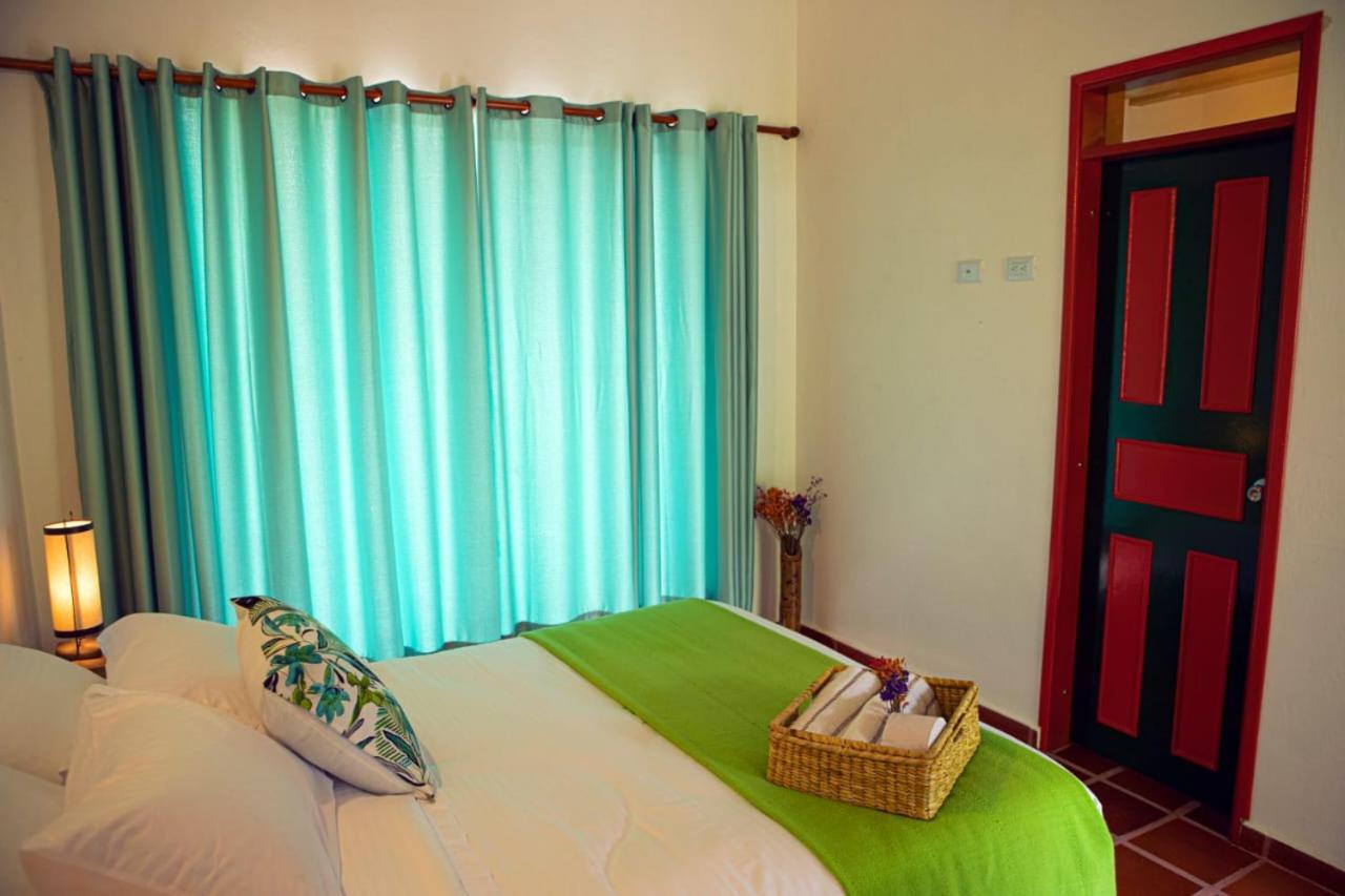 Ecohotel Monteverde ลาเบกา ภายนอก รูปภาพ