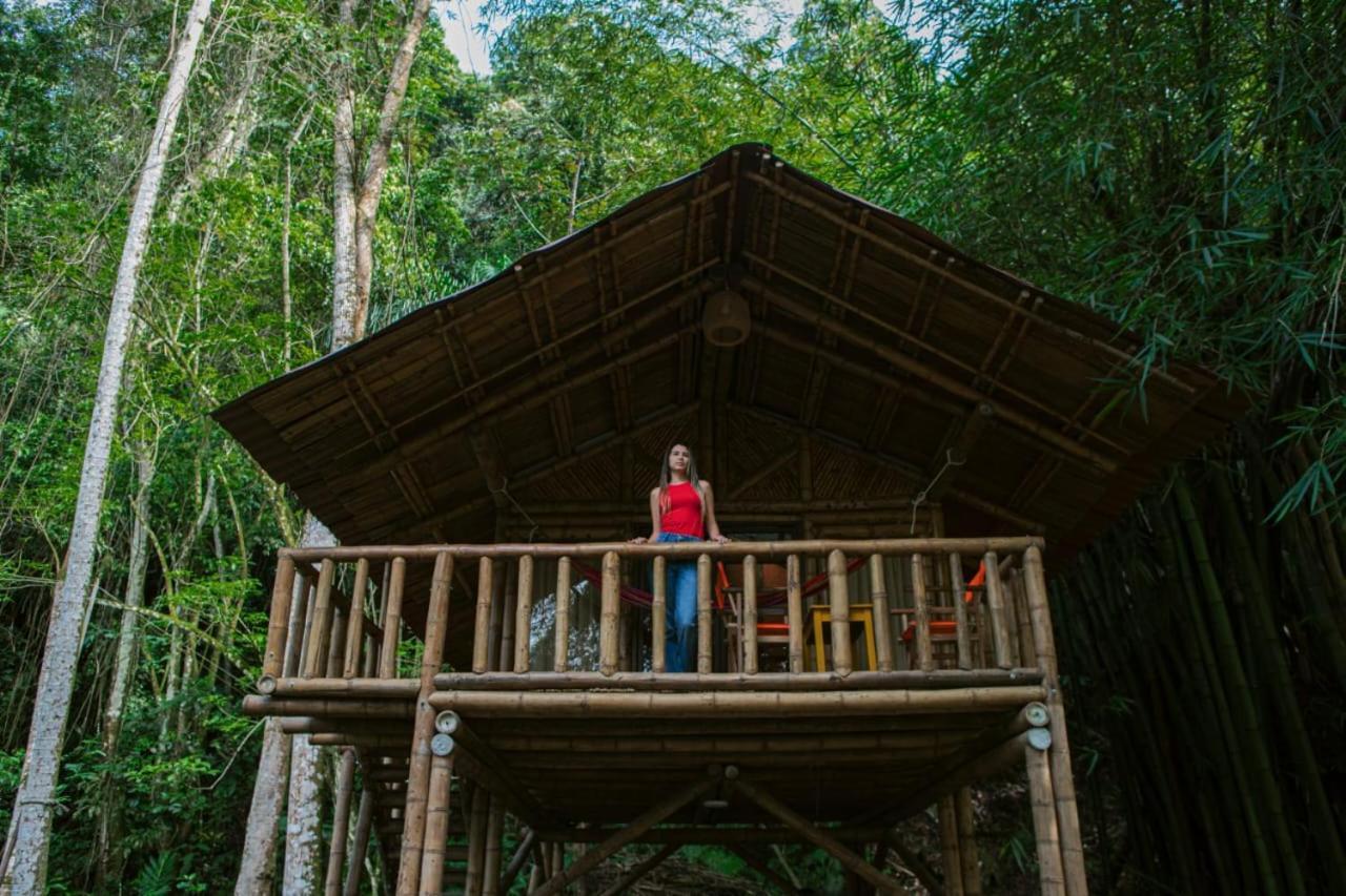 Ecohotel Monteverde ลาเบกา ภายนอก รูปภาพ
