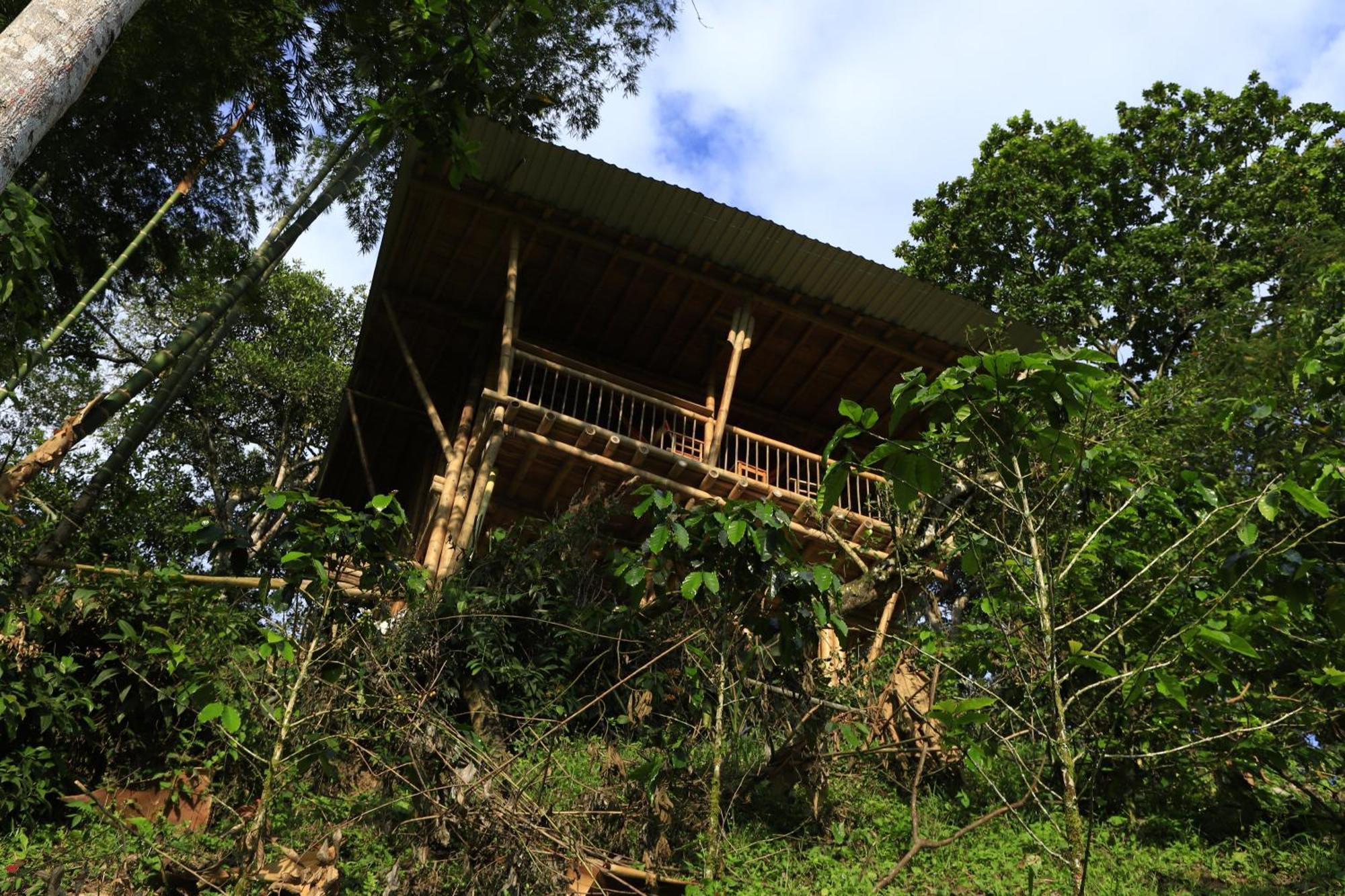 Ecohotel Monteverde ลาเบกา ภายนอก รูปภาพ