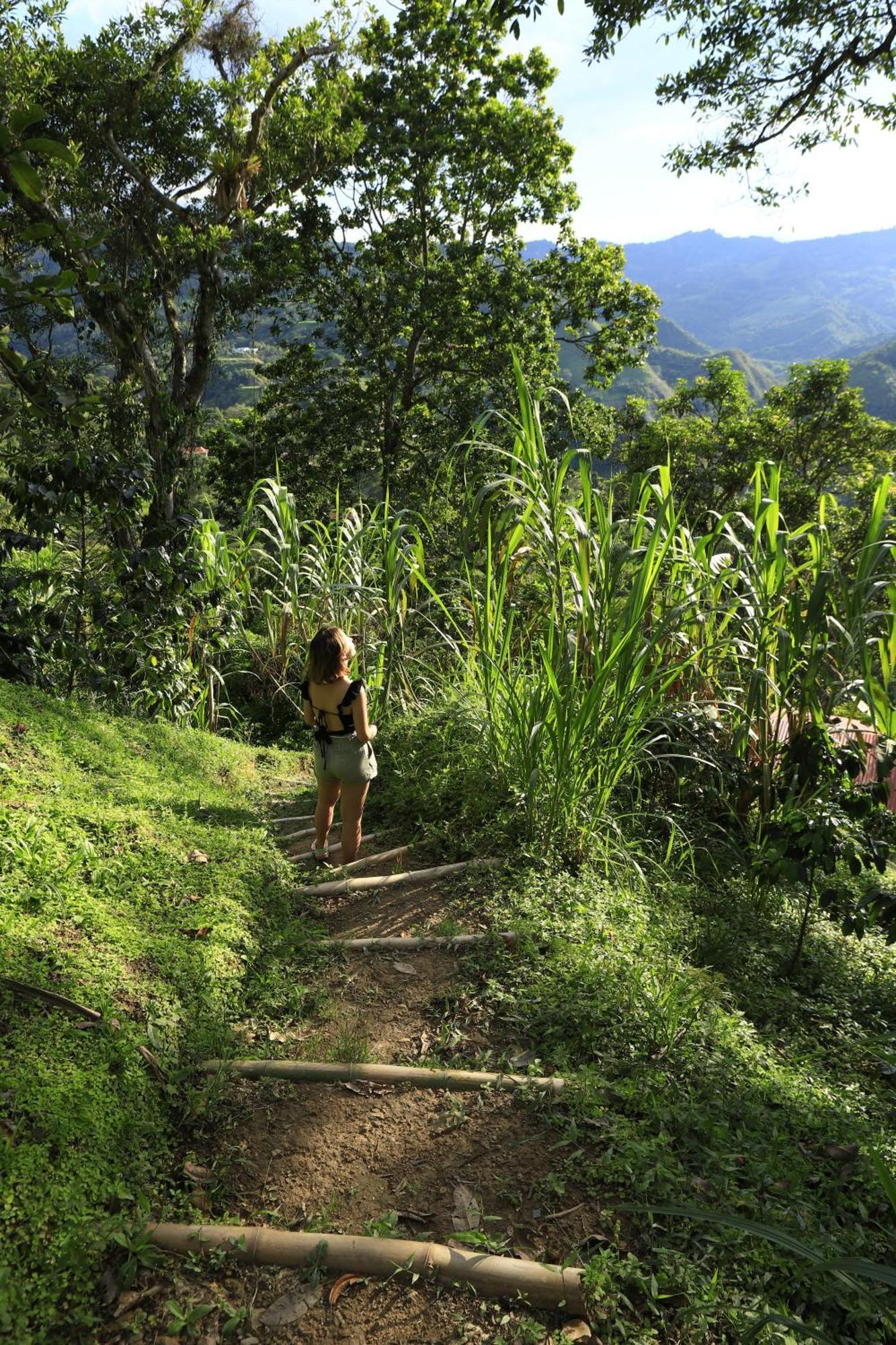 Ecohotel Monteverde ลาเบกา ภายนอก รูปภาพ
