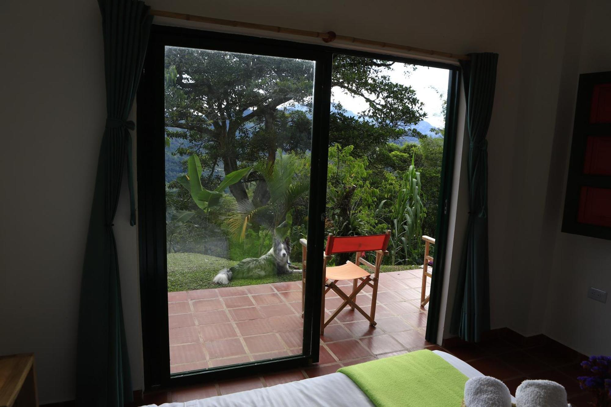 Ecohotel Monteverde ลาเบกา ภายนอก รูปภาพ