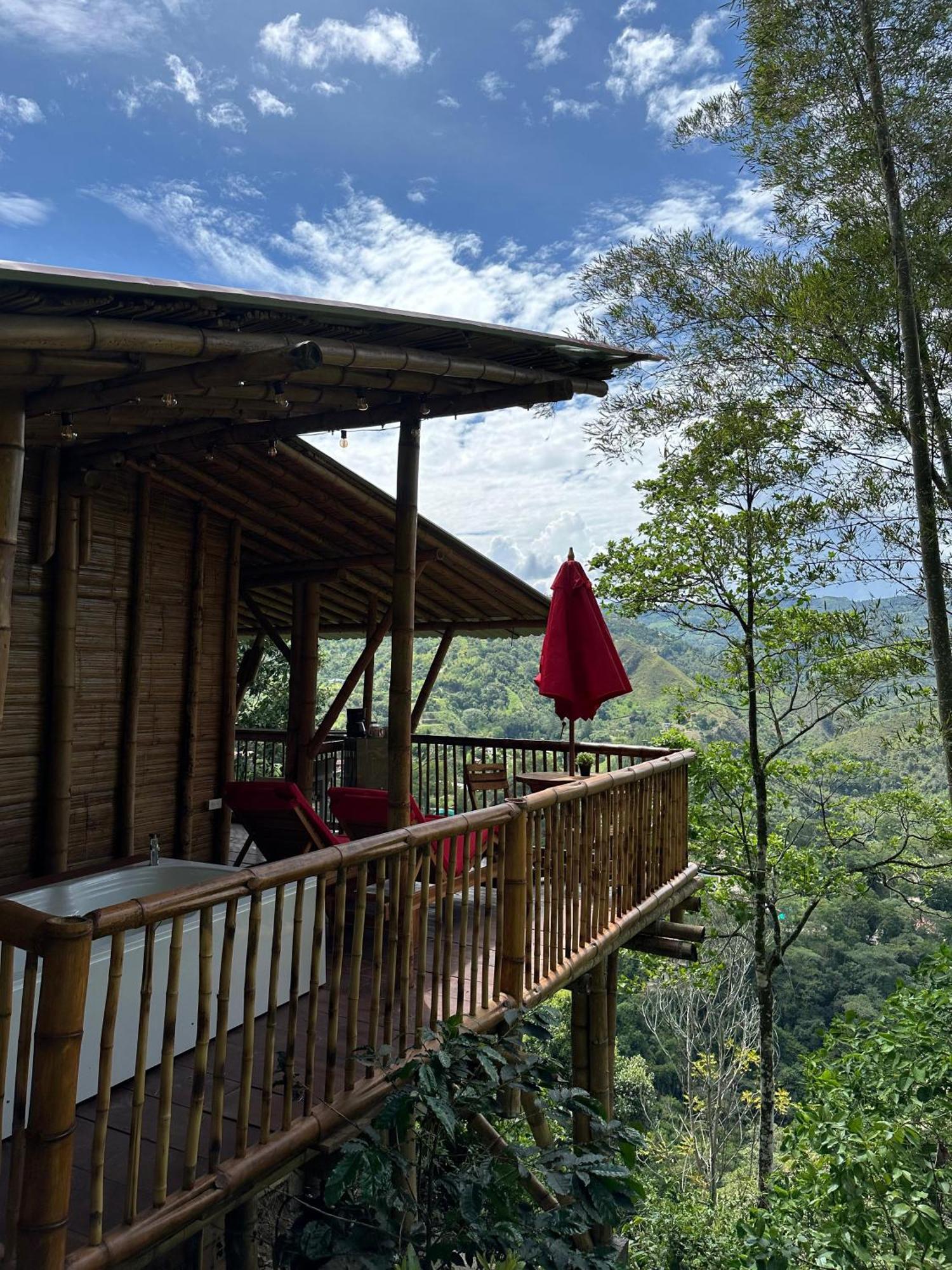 Ecohotel Monteverde ลาเบกา ภายนอก รูปภาพ
